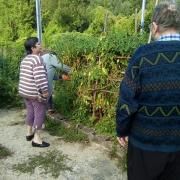 Promenade Sous le Soleil et Cueillette de légumes